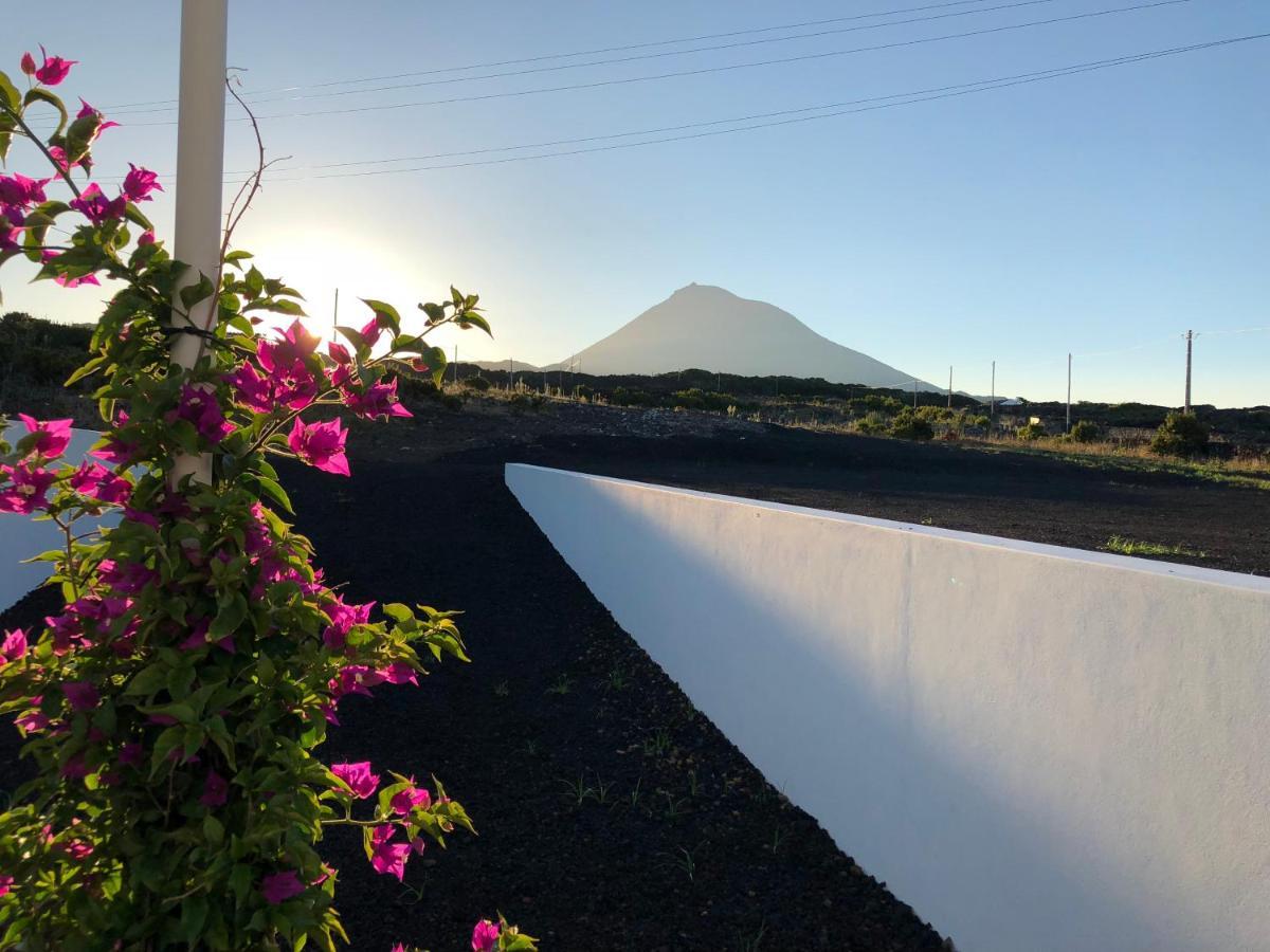 Vinhas Do Calhau Aparthotel Madalena  Kültér fotó